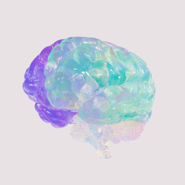 brain illustration in blue