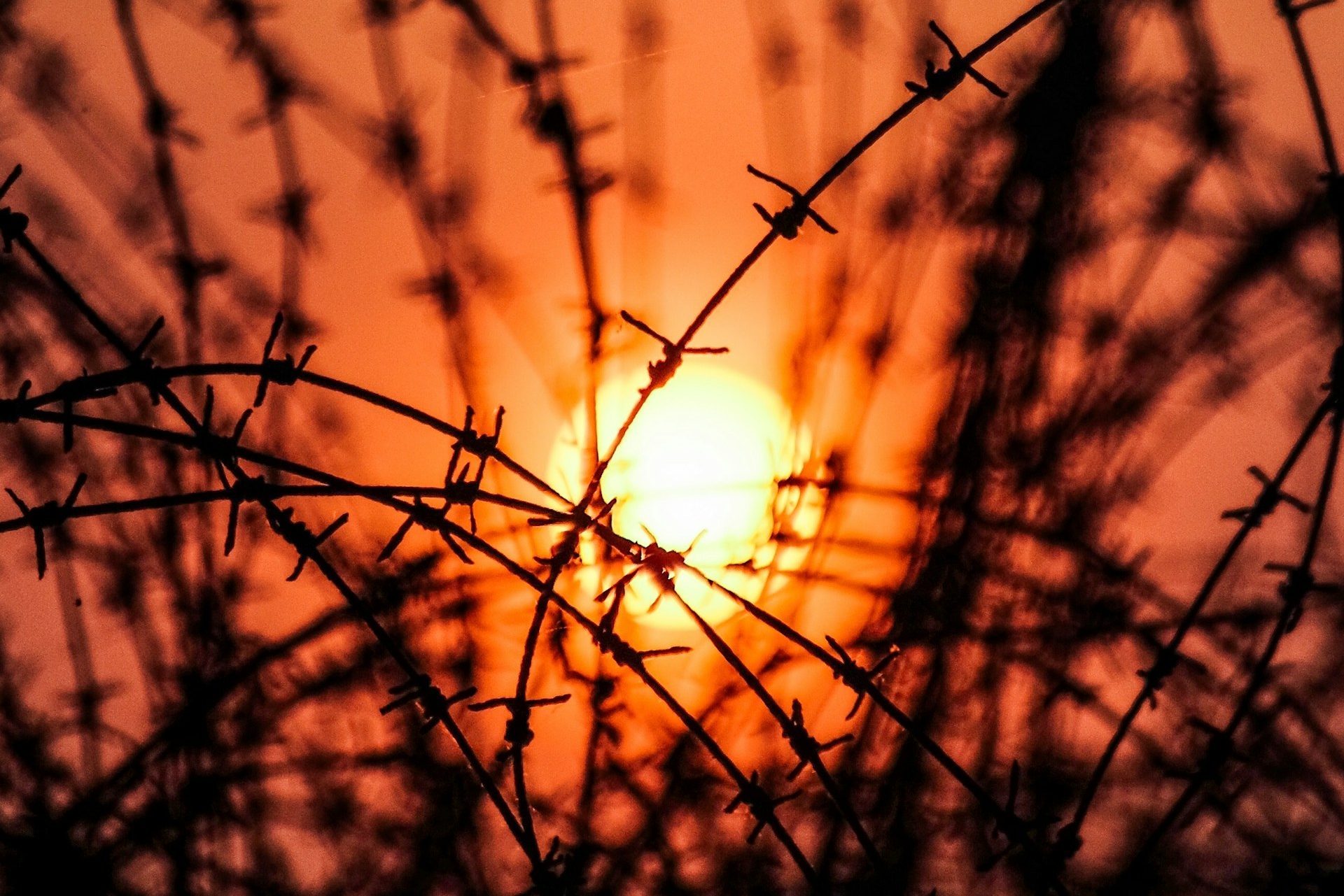 barbwire entanglement in the sunset